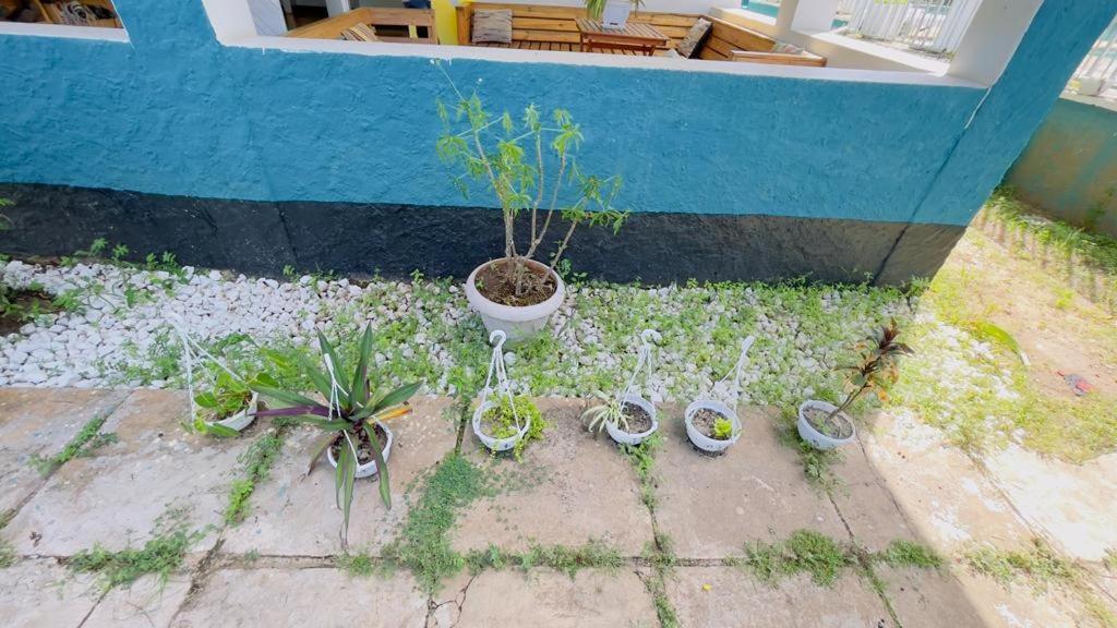 Gallivanters Hostel Νταρ ες Σαλάμ Εξωτερικό φωτογραφία